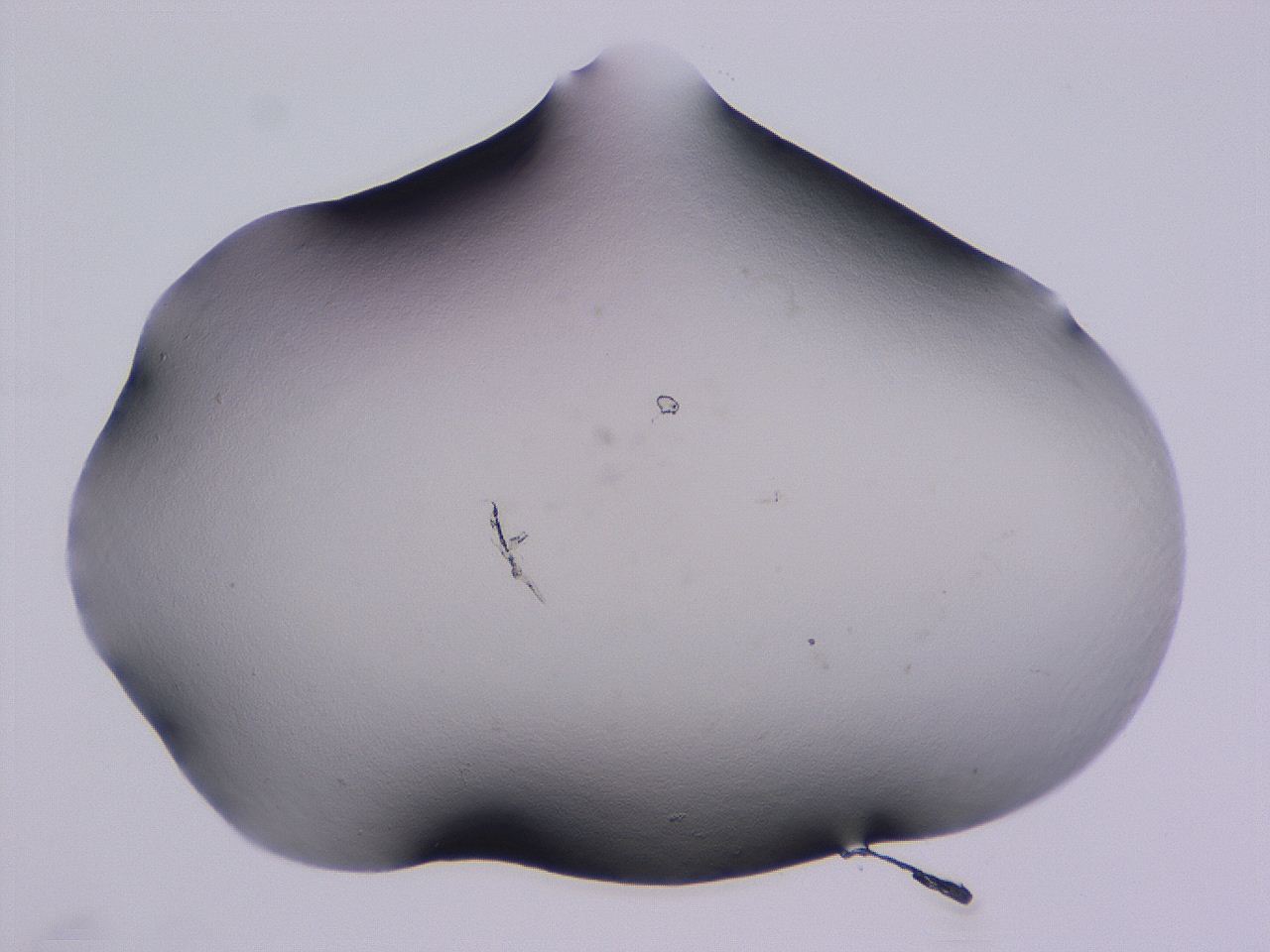 04nv_D11_ImagerDefaults_0.jpg