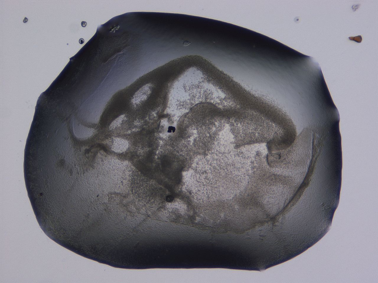 04nv_D12_ImagerDefaults_3.jpg
