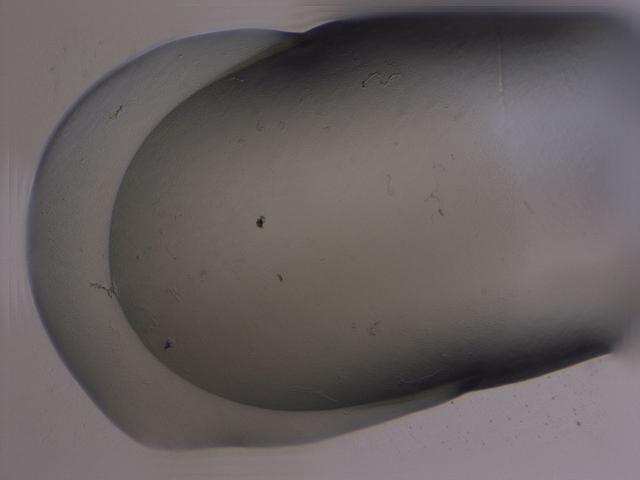 04nv_A11_ImagerDefaults_3.jpg