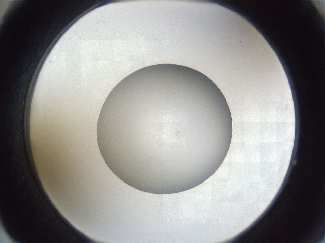 folderID846_plateID1846_batchID7726_wellNum64_profileID1_d2_r125405_ef.jpg