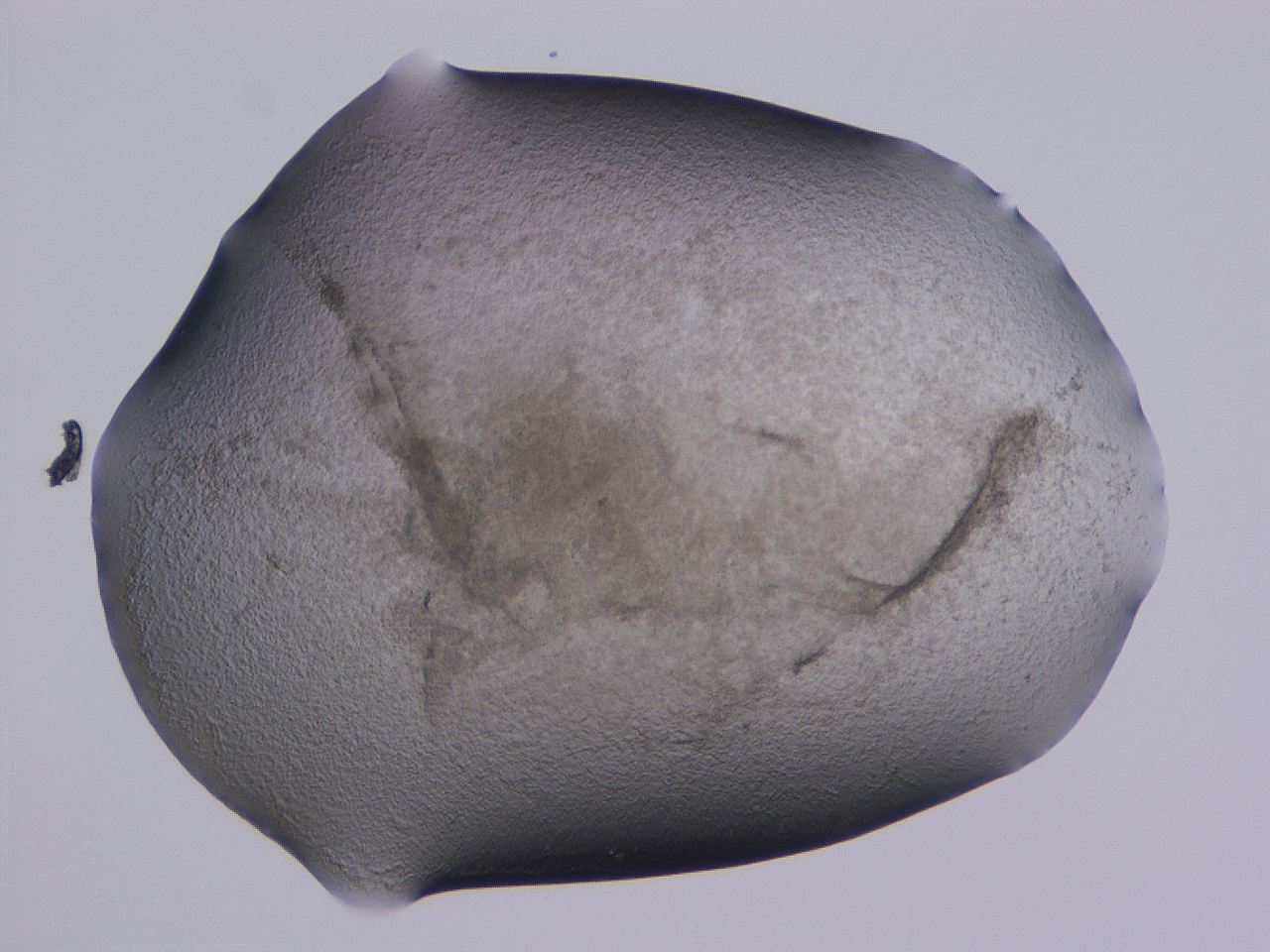 04nv_C12_ImagerDefaults_3.jpg
