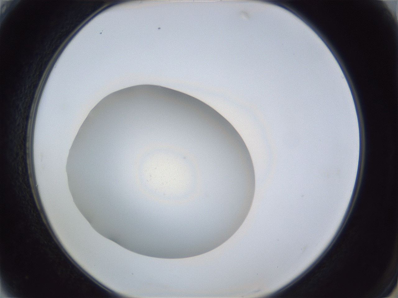 folderID847_plateID1847_batchID7992_wellNum4_profileID1_d2_r126245_ef.jpg