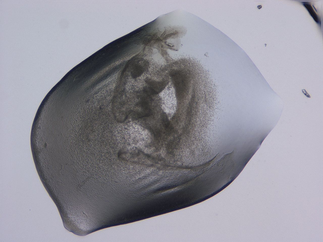 04nv_B12_ImagerDefaults_3.jpg