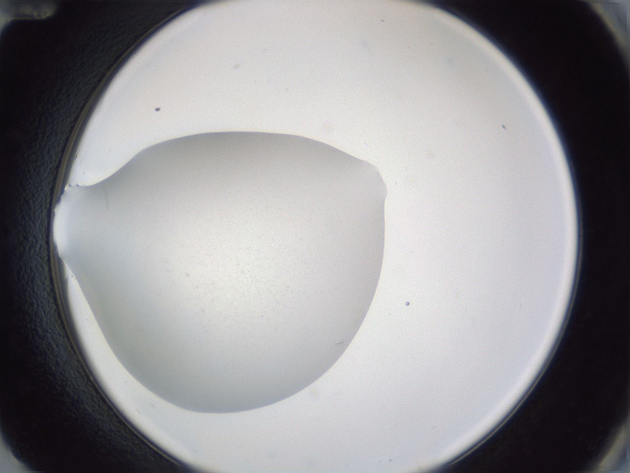 folderID848_plateID1848_batchID7753_wellNum84_profileID1_d2_r125637_ef.jpg