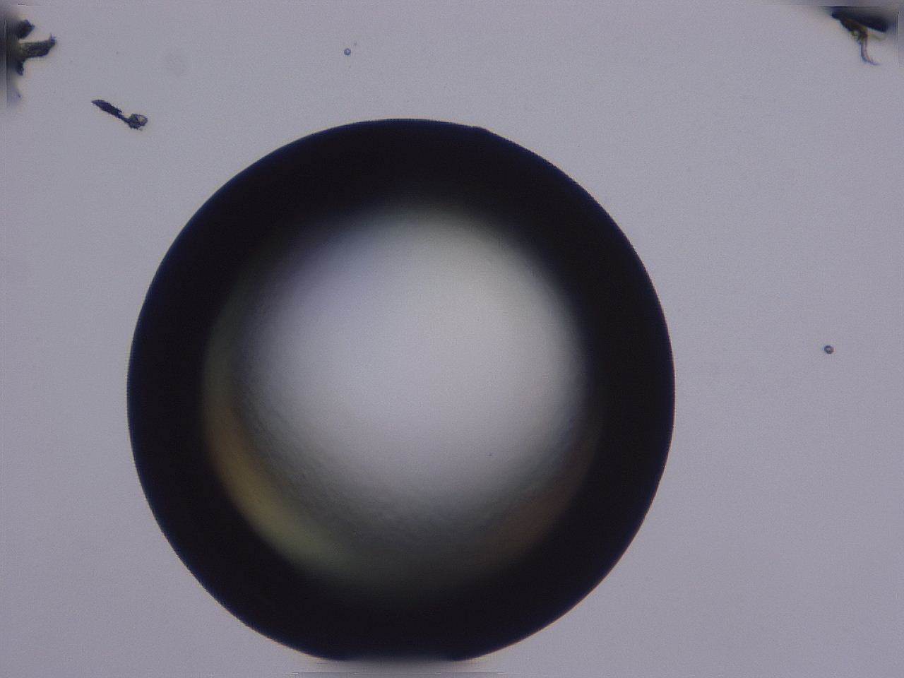 04nv_E12_ImagerDefaults_0.jpg