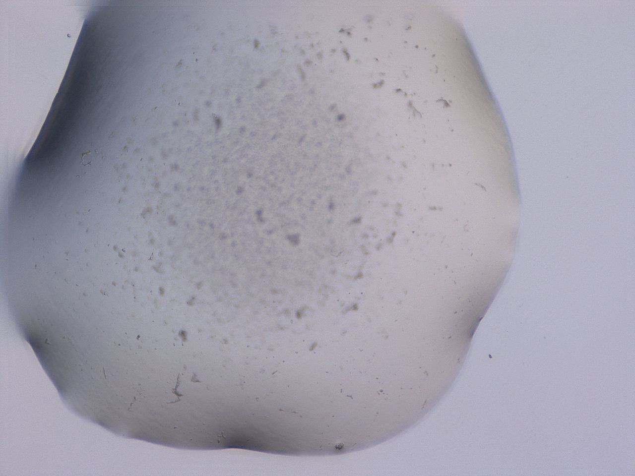 04nv_F12_ImagerDefaults_3.jpg