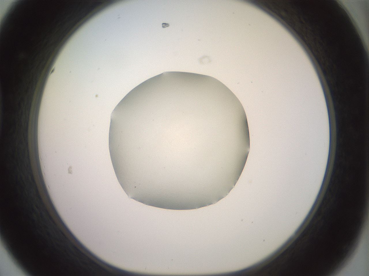 folderID852_plateID1852_batchID7693_wellNum44_profileID1_d1_r124020_ef.jpg