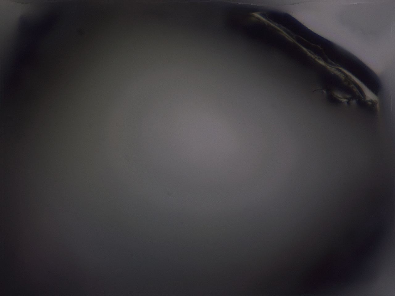 04nv_G4_ImagerDefaults_0.jpg