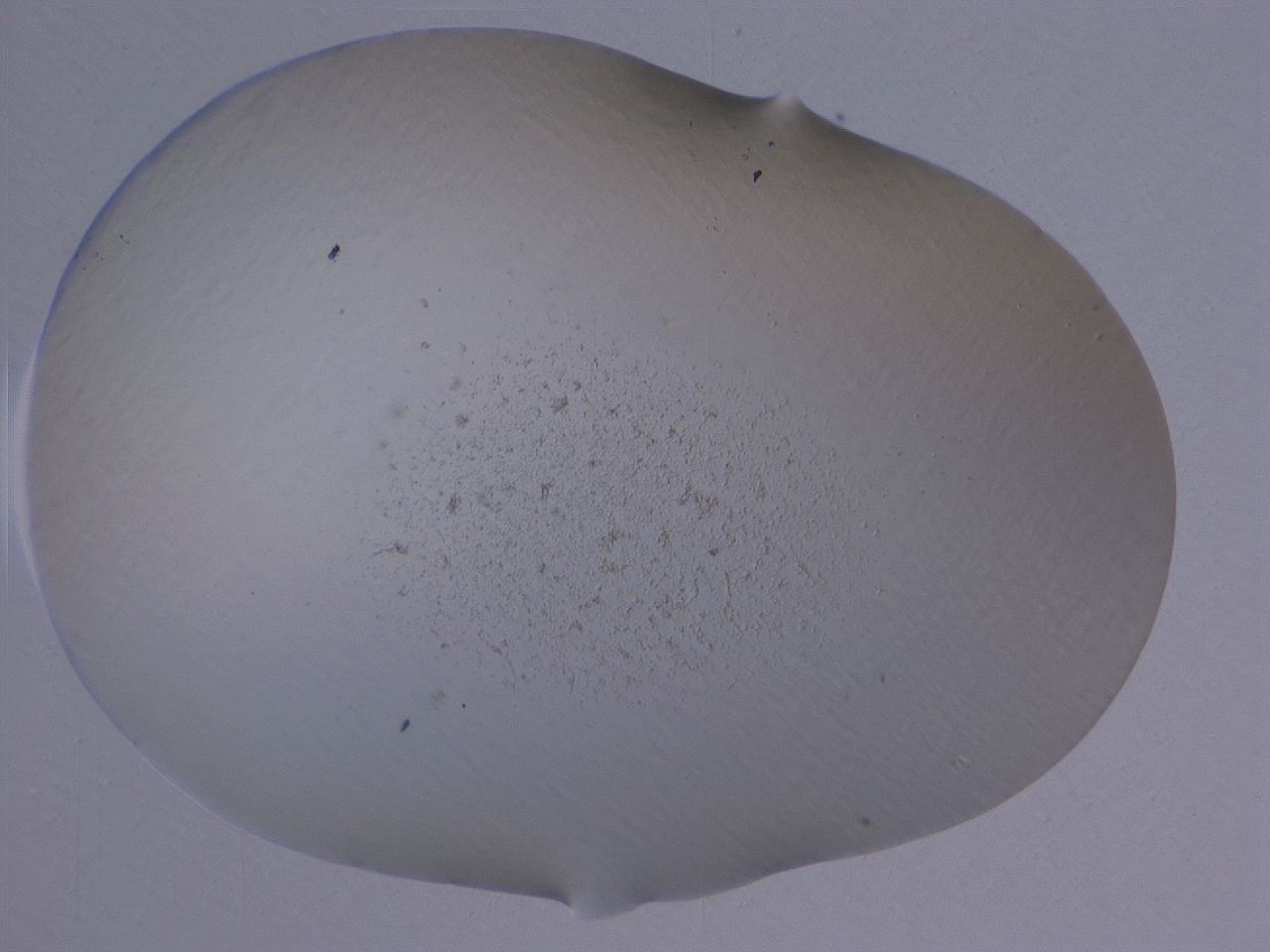 04nv_H1_ImagerDefaults_3.jpg