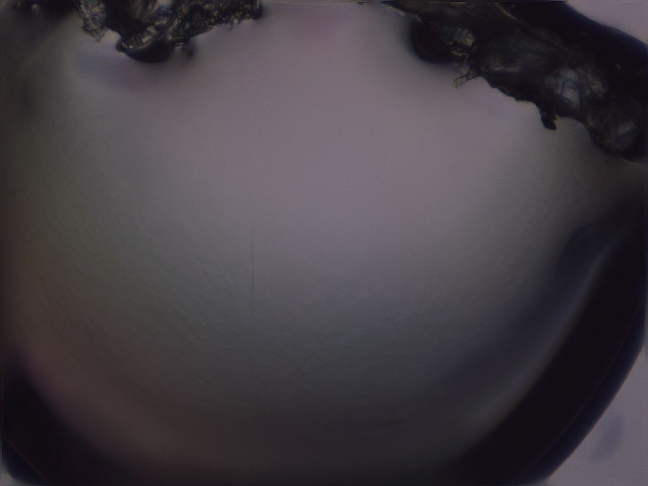 04nv_H2_ImagerDefaults_0.jpg