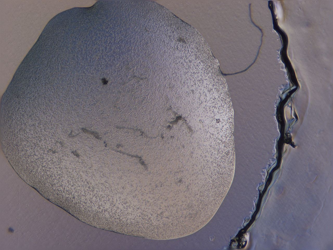 04nw_A2_ImagerDefaults_6.jpg