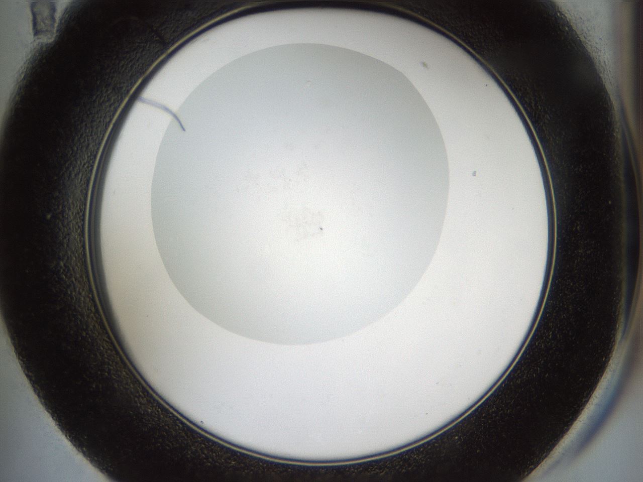 folderID857_plateID857_batchID993_wellNum59_profileID1_d2_r30852_ef.jpg