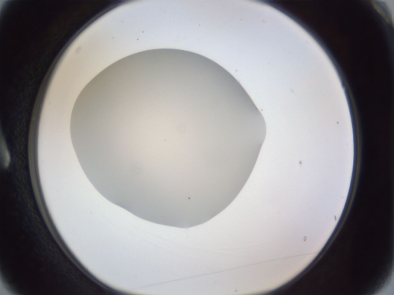folderID85_plateID1085_batchID3754_wellNum3_profileID1_d1_r50489_ef.jpg