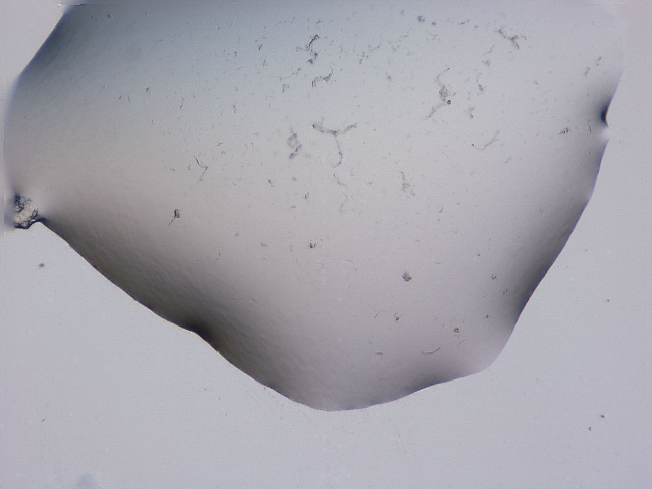 04nw_B6_ImagerDefaults_0.jpg