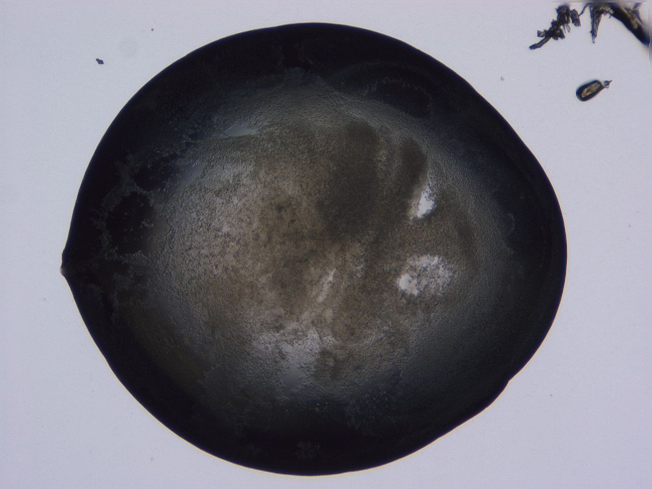 04nw_B11_ImagerDefaults_3.jpg