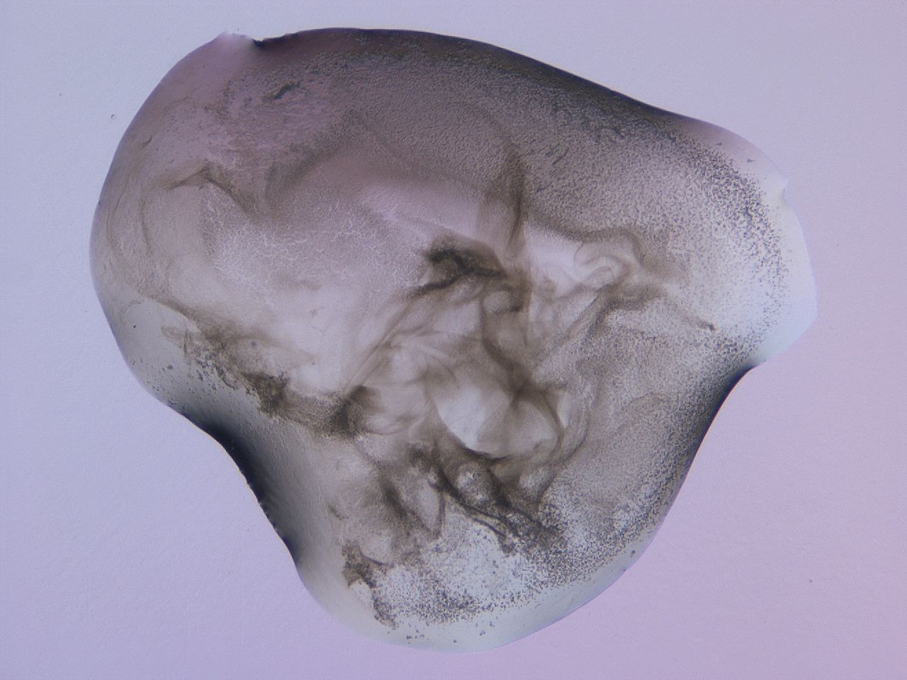 04nw_E6_ImagerDefaults_3.jpg