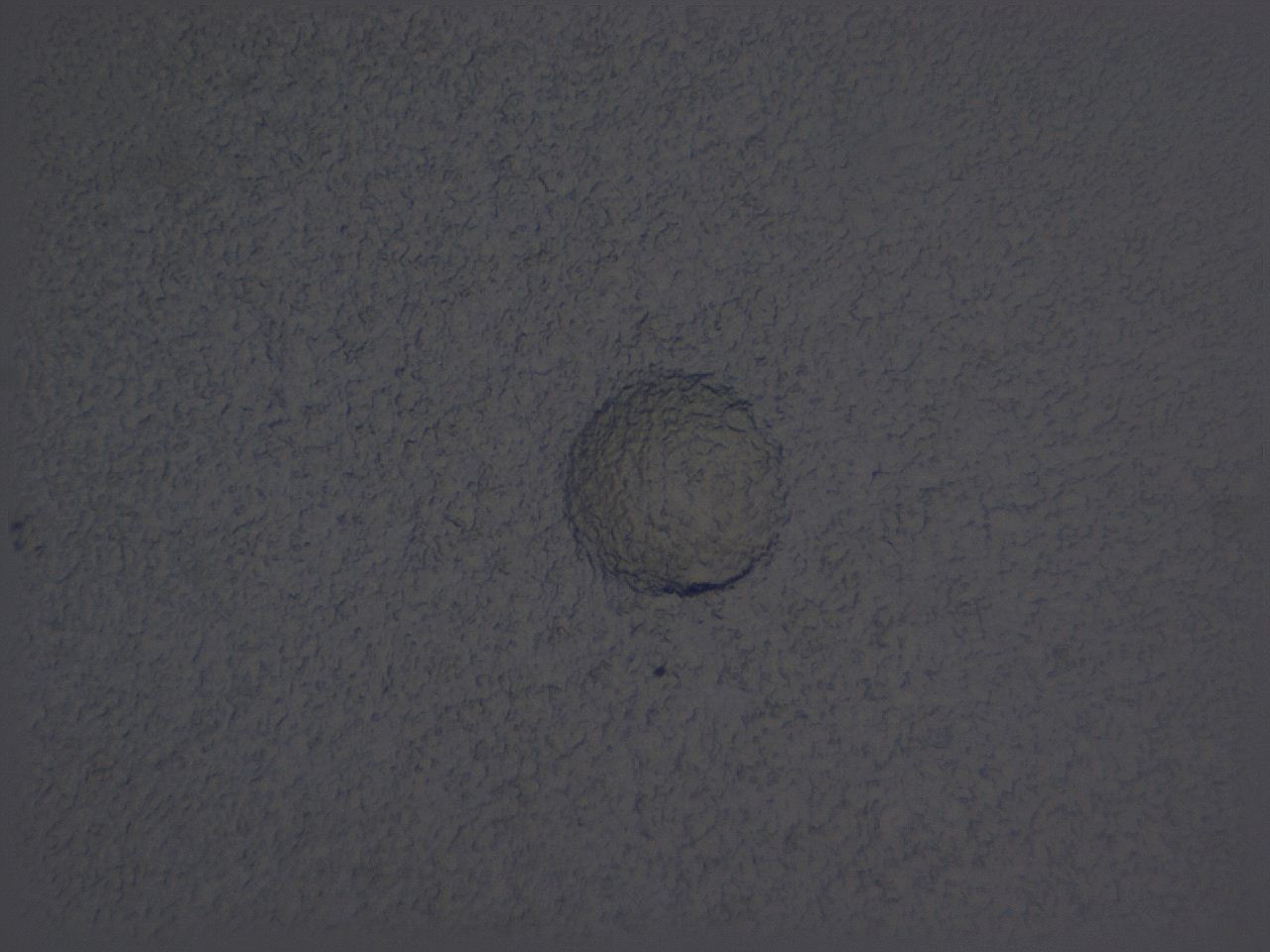 04nw_E12_ImagerDefaults_3.jpg