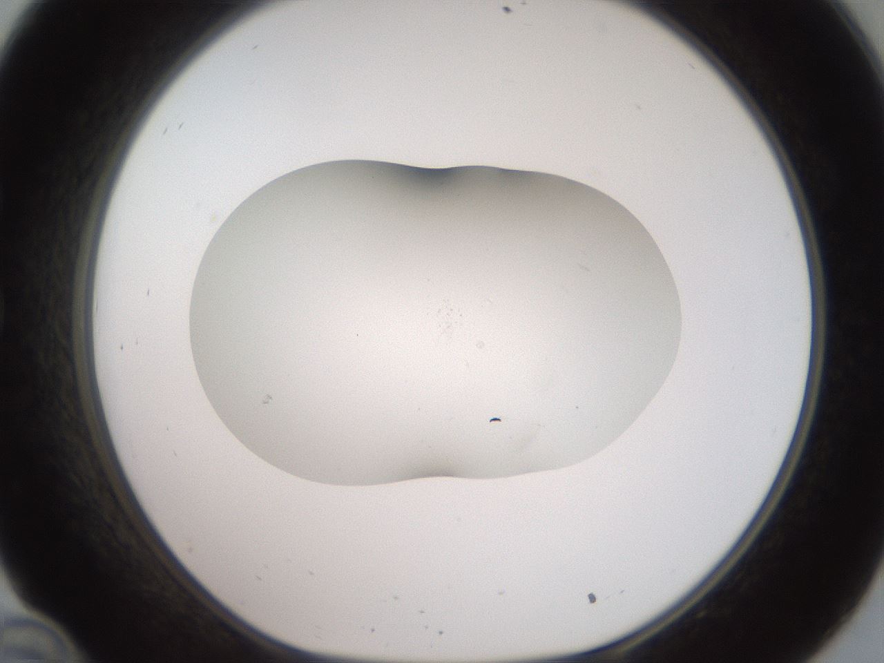 folderID917_plateID1917_batchID8277_wellNum34_profileID1_d1_r128423_ef.jpg