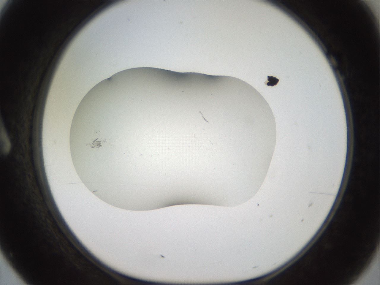 folderID917_plateID1917_batchID8277_wellNum7_profileID1_d1_r128396_ef.jpg