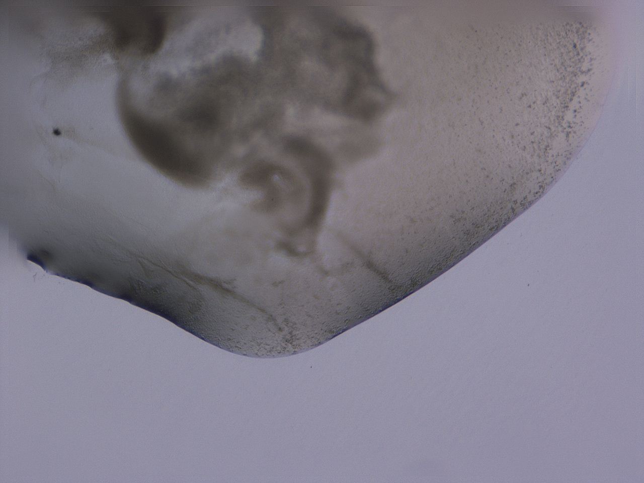 04nw_F12_ImagerDefaults_3.jpg