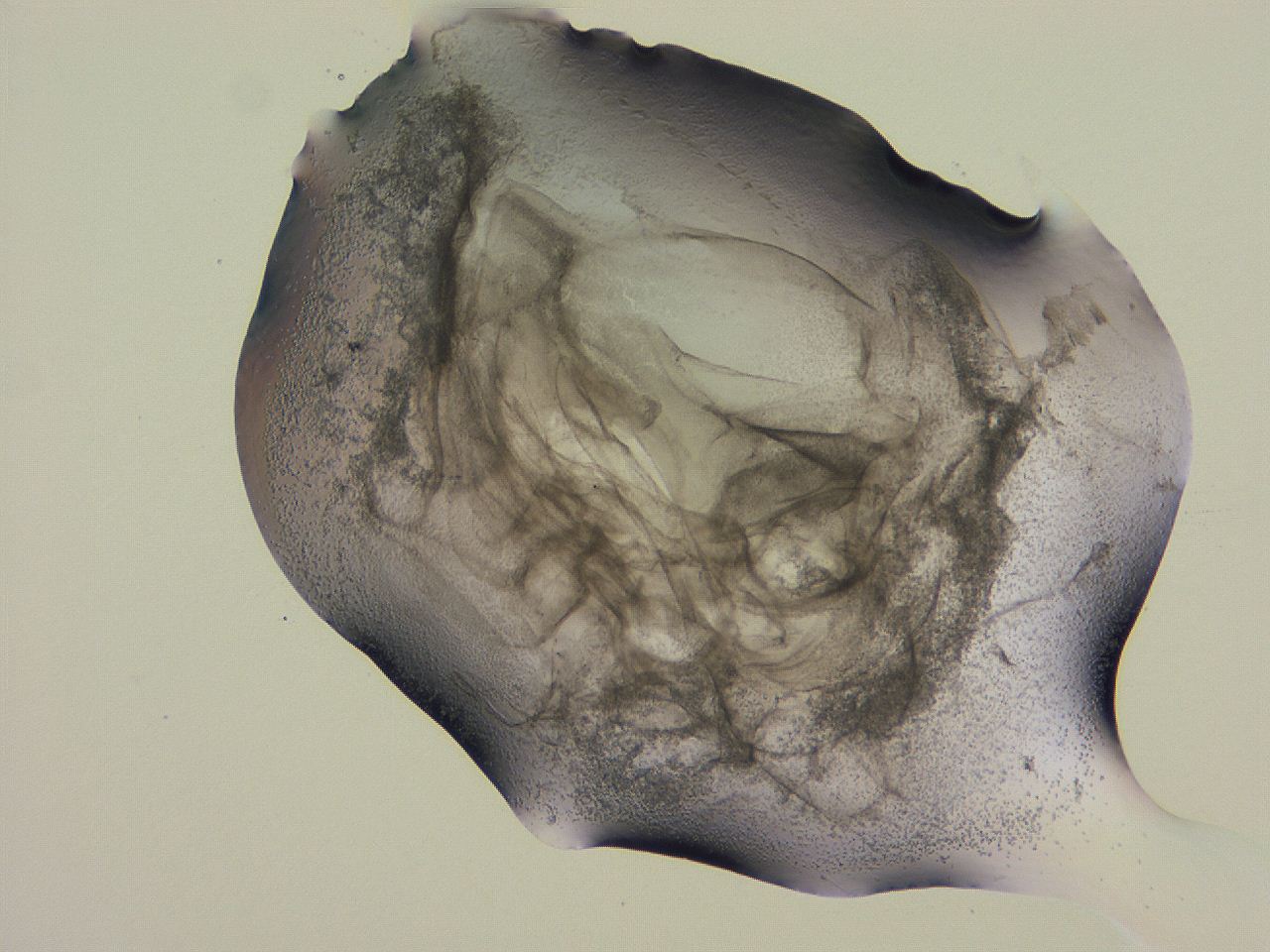 04nw_G6_ImagerDefaults_3.jpg