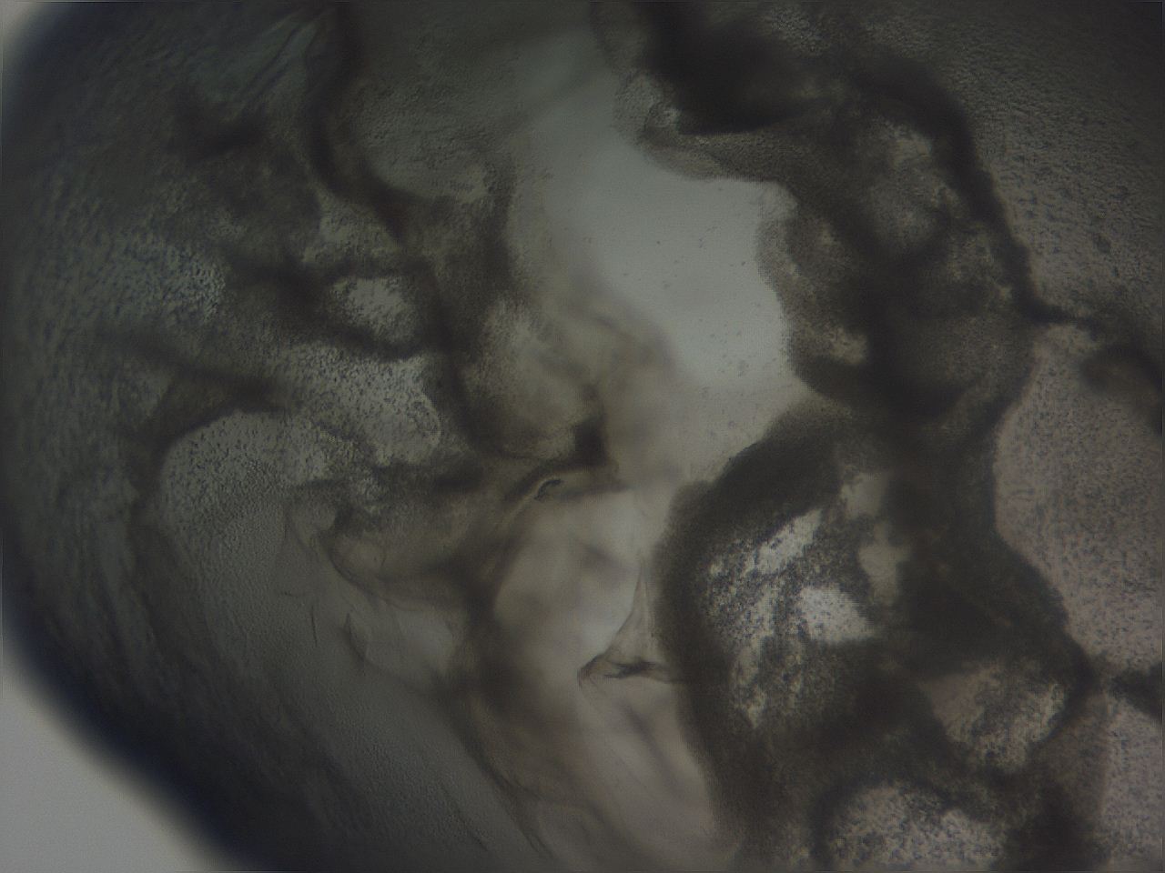 04nw_G10_ImagerDefaults_3.jpg