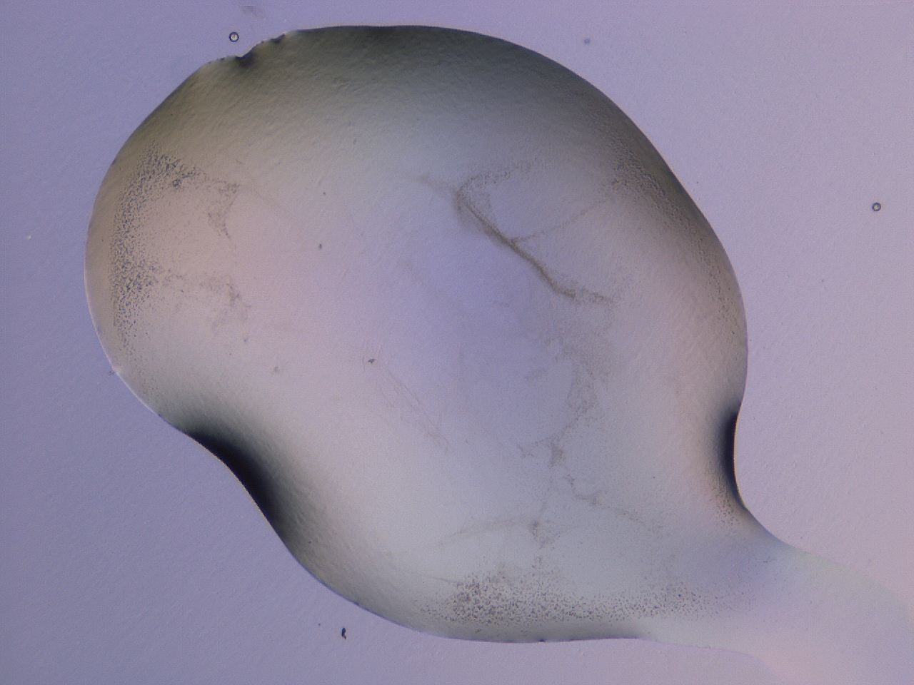 04nw_G11_ImagerDefaults_3.jpg