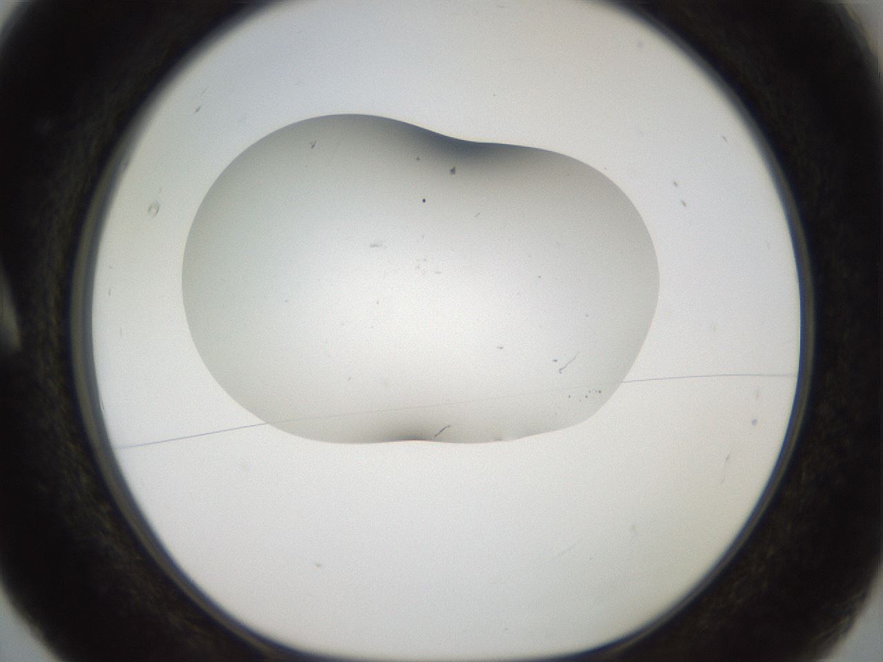folderID918_plateID1918_batchID8274_wellNum5_profileID1_d1_r128106_ef.jpg