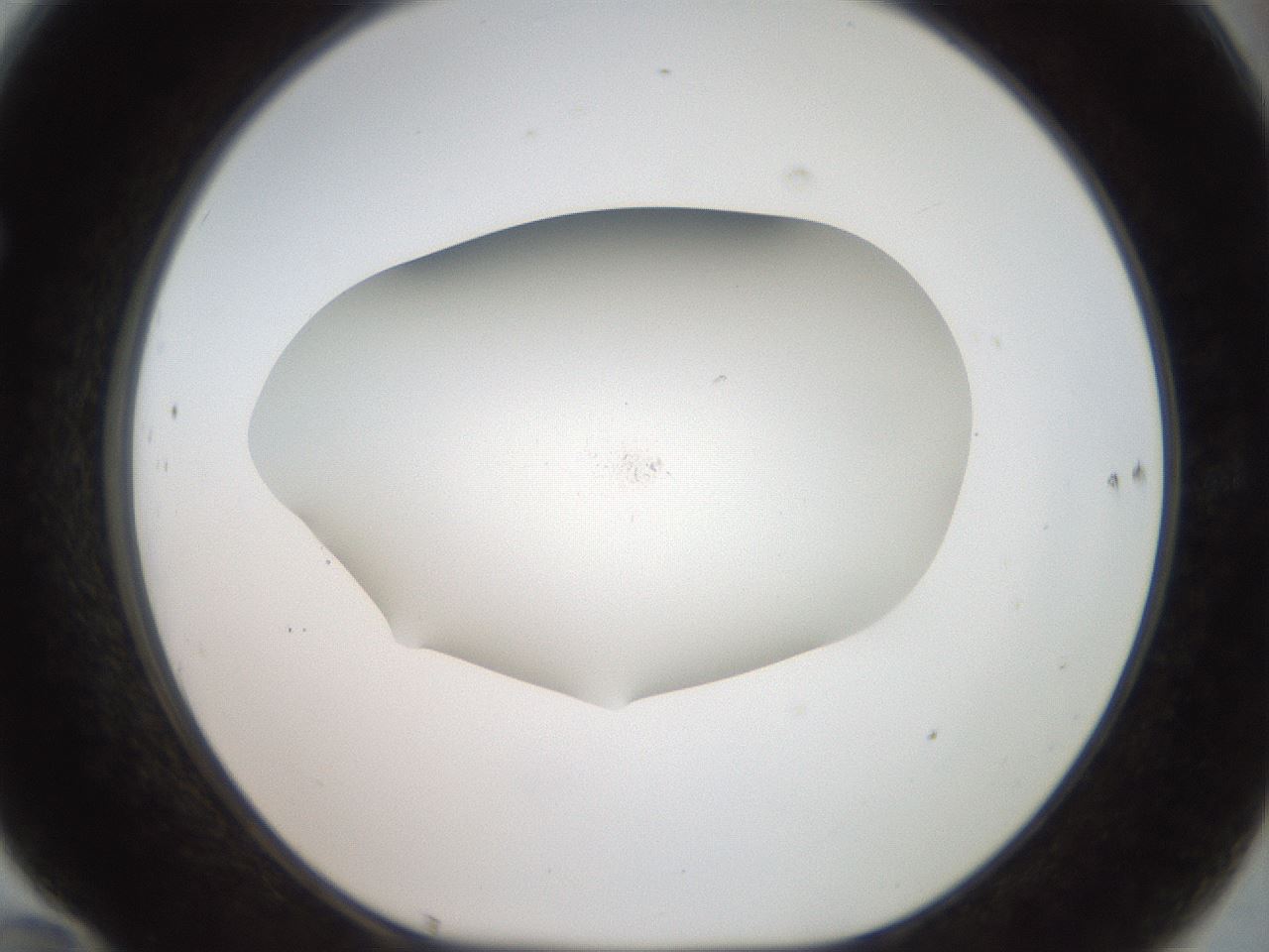 folderID918_plateID1918_batchID8274_wellNum70_profileID1_d1_r128171_ef.jpg