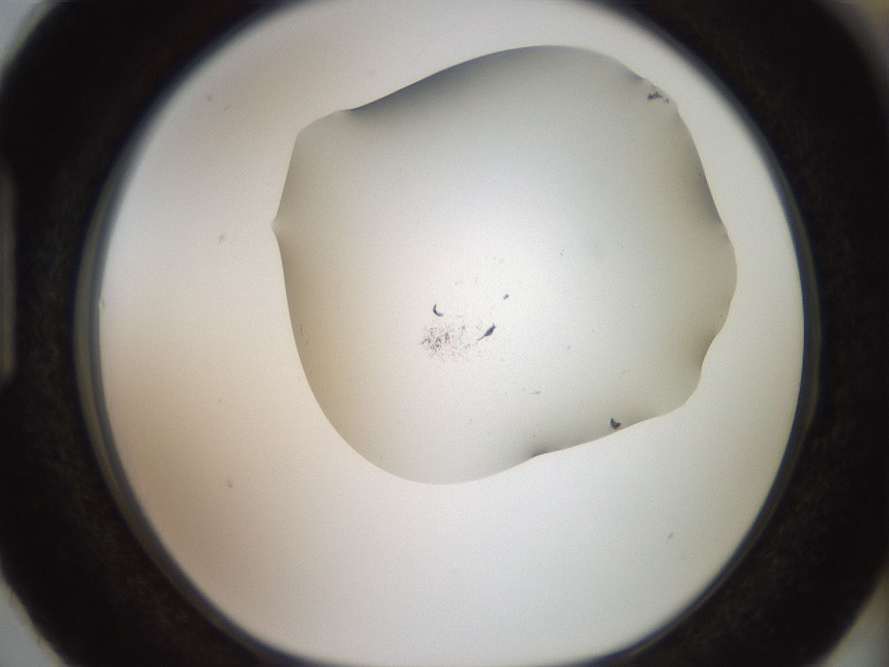 folderID918_plateID1918_batchID8274_wellNum87_profileID1_d1_r128188_ef.jpg