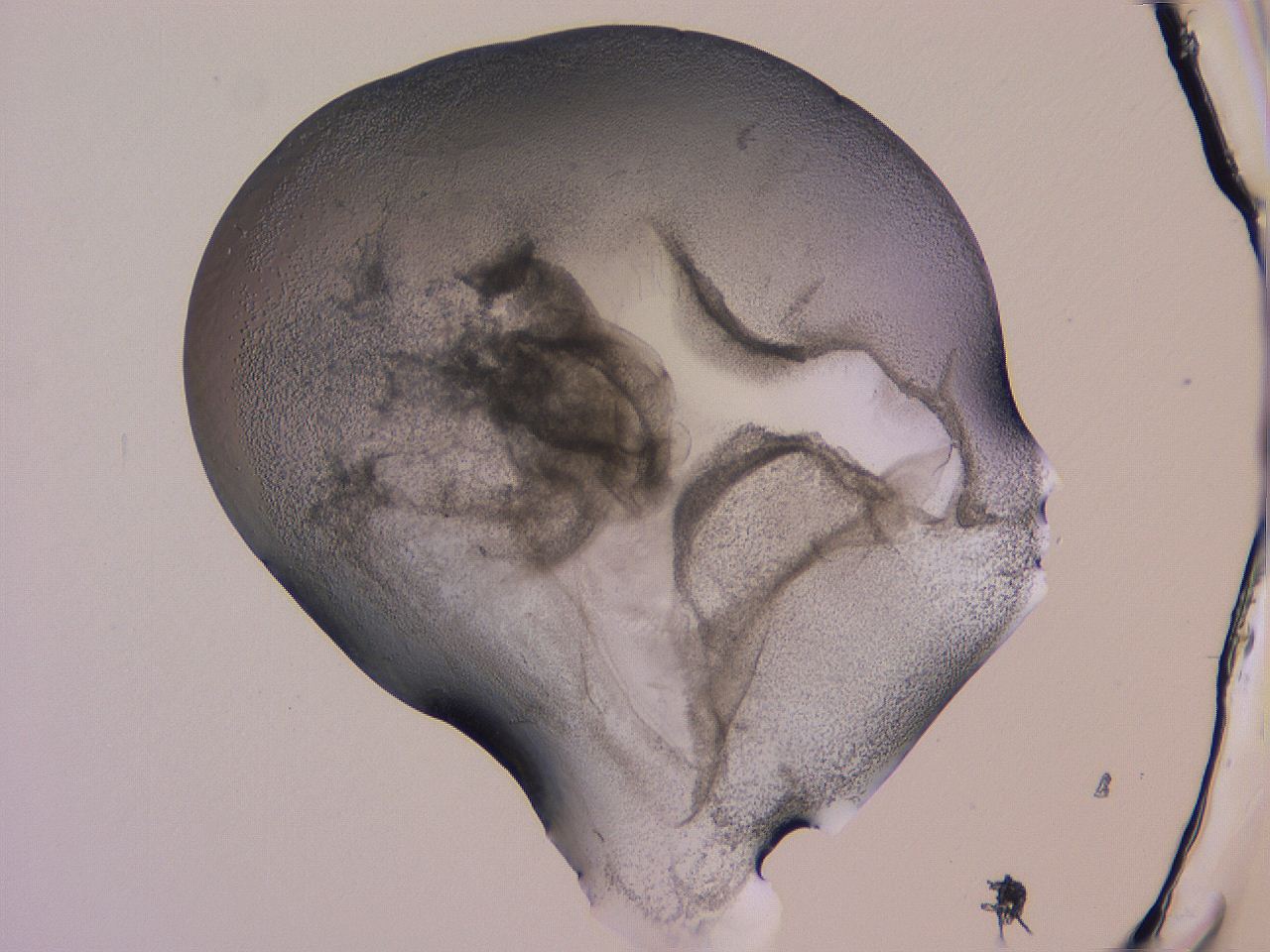 04nw_H6_ImagerDefaults_3.jpg