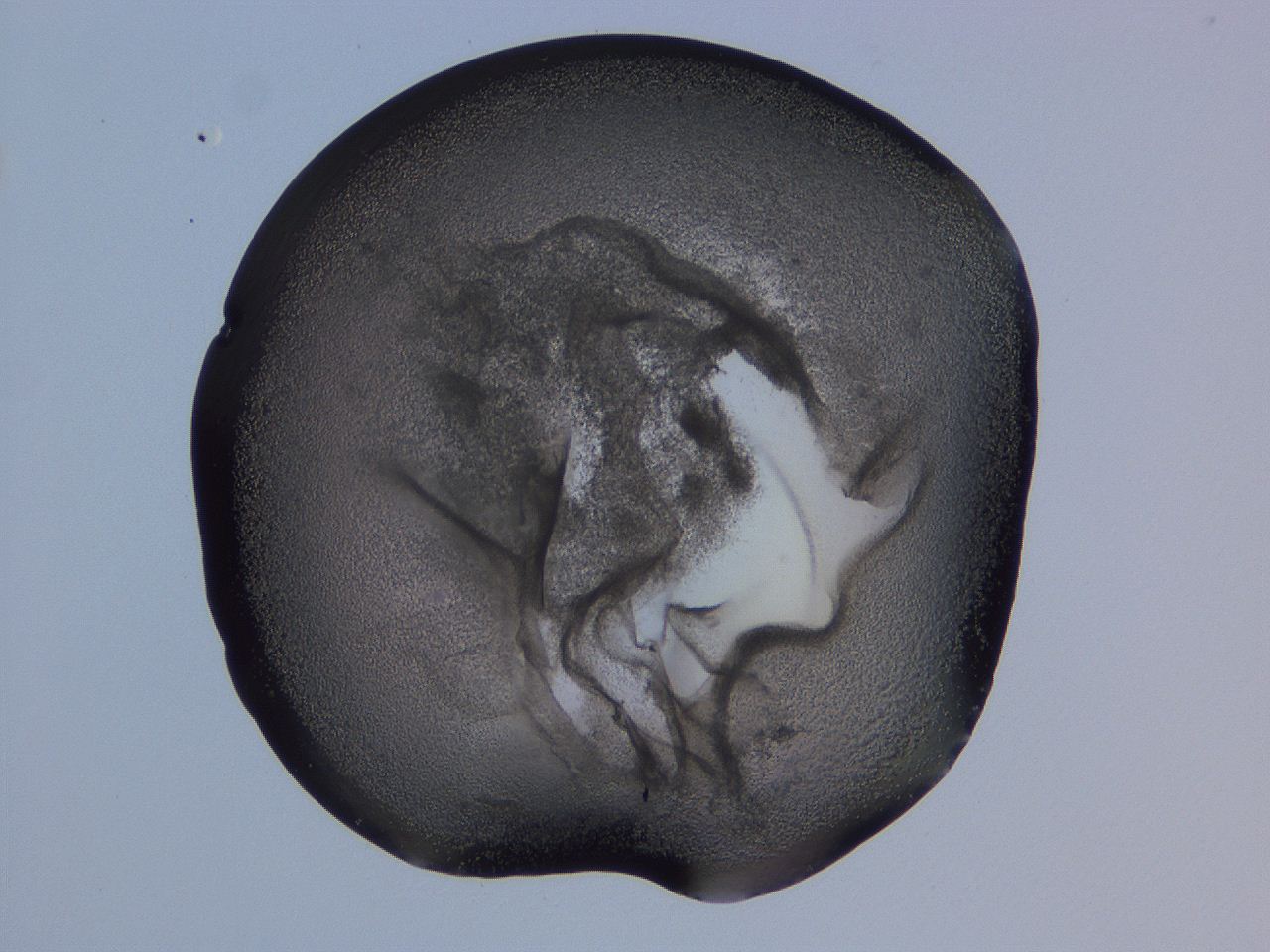 04nw_H11_ImagerDefaults_3.jpg