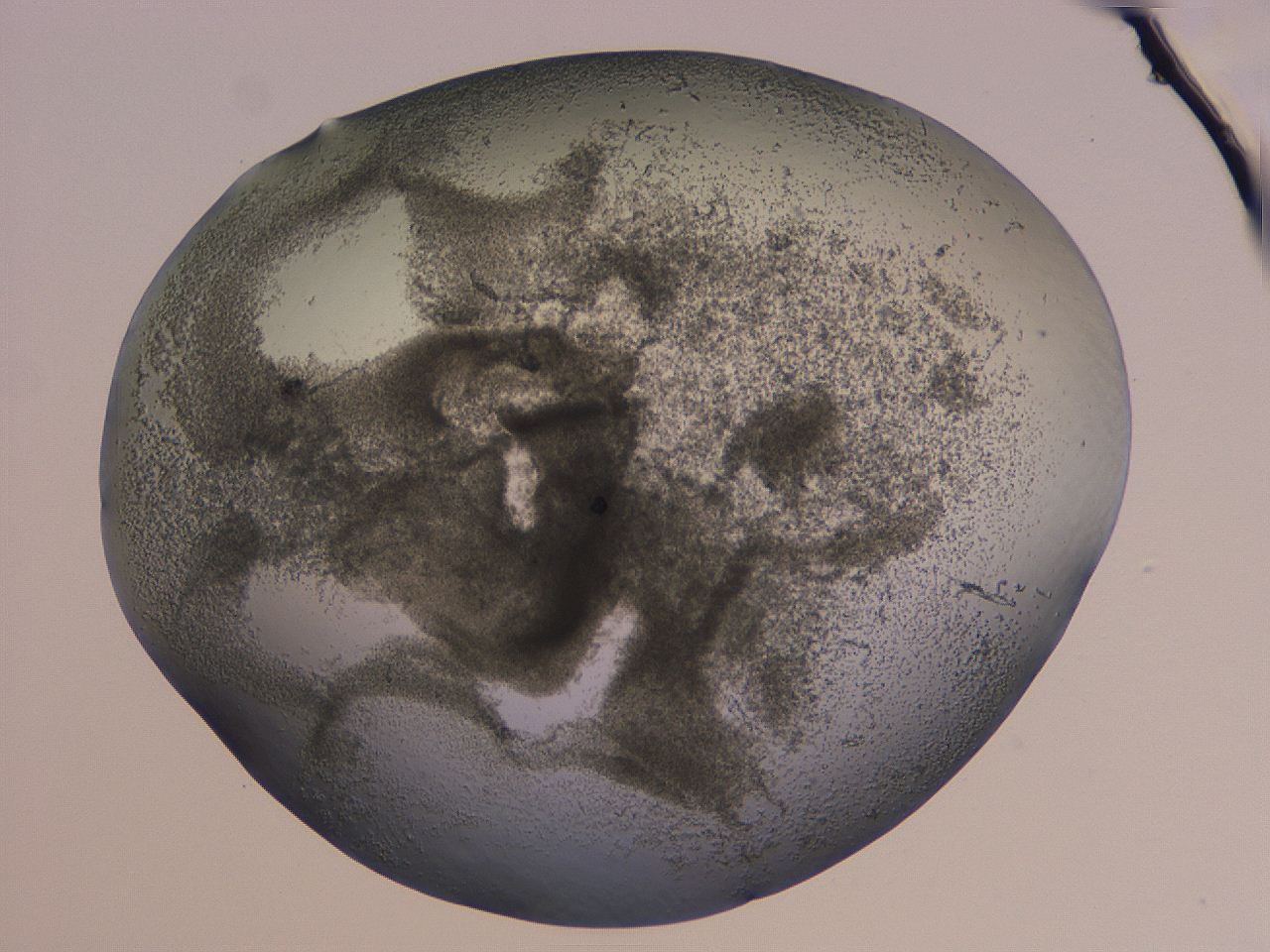 04nx_B2_ImagerDefaults_3.jpg
