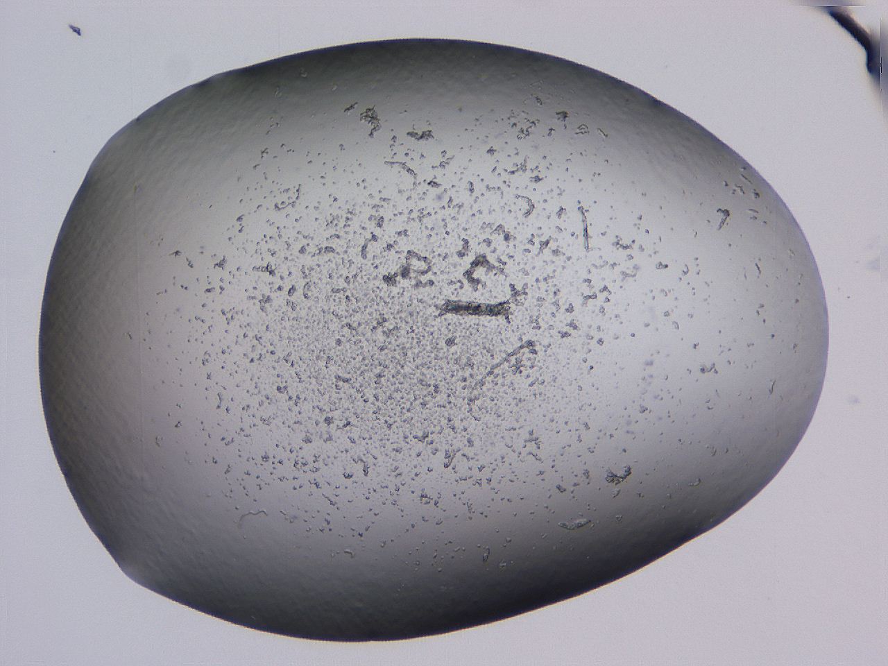 04nx_B3_ImagerDefaults_3.jpg