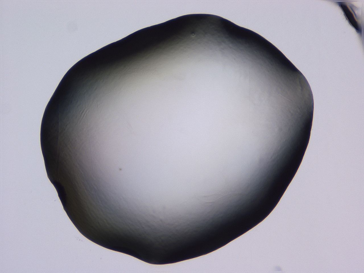 04nx_B4_ImagerDefaults_0.jpg