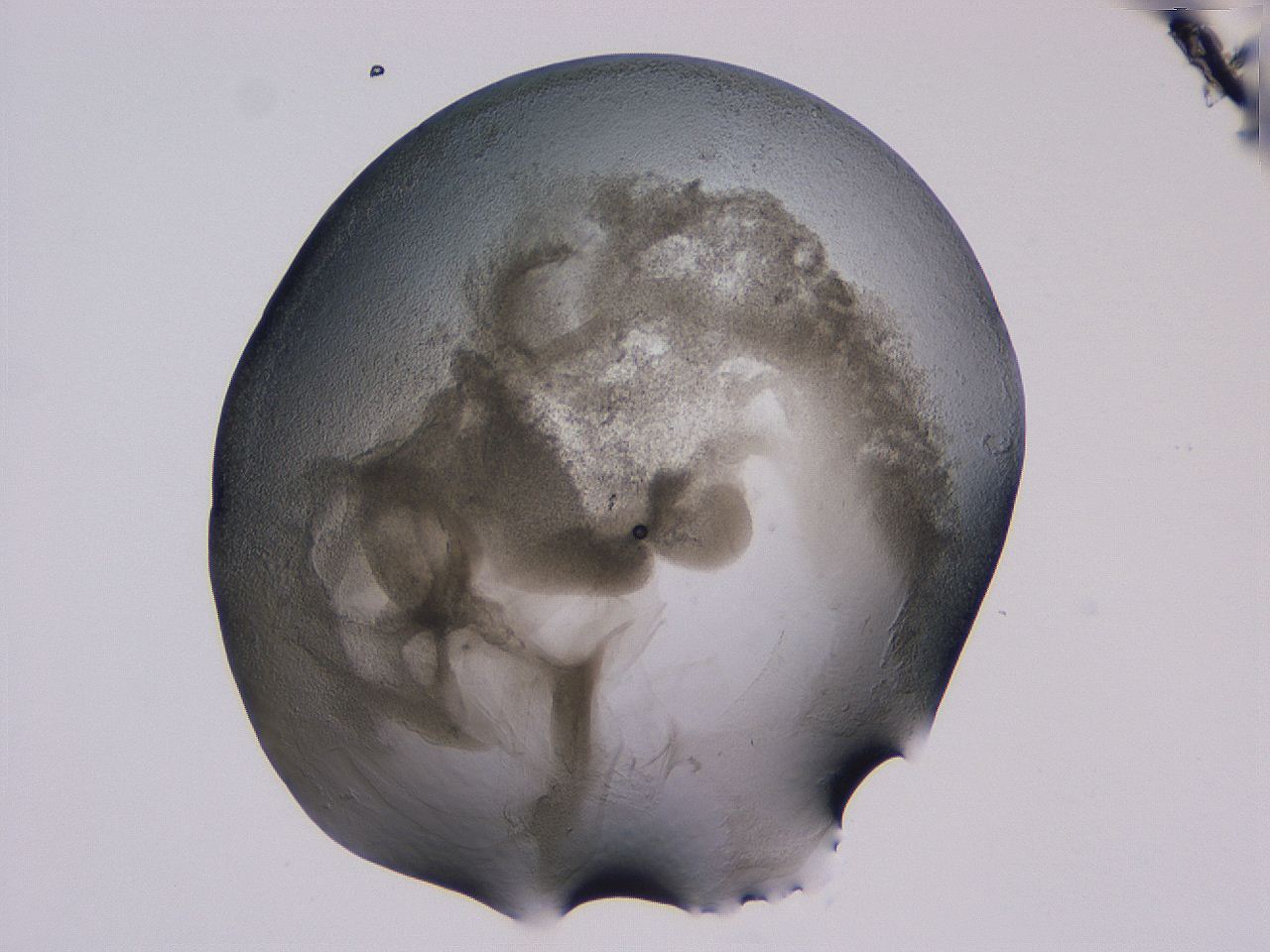 04nx_B6_ImagerDefaults_3.jpg
