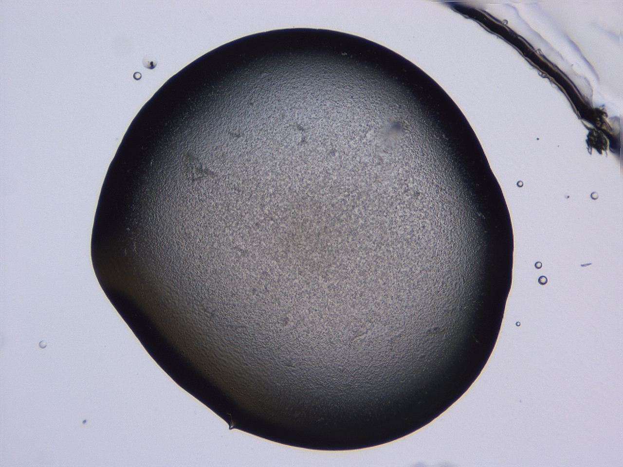 04nx_B10_ImagerDefaults_3.jpg