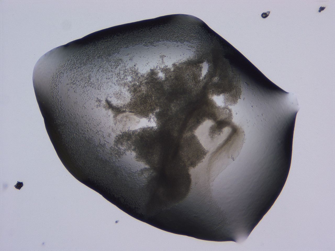 04nx_B11_ImagerDefaults_3.jpg