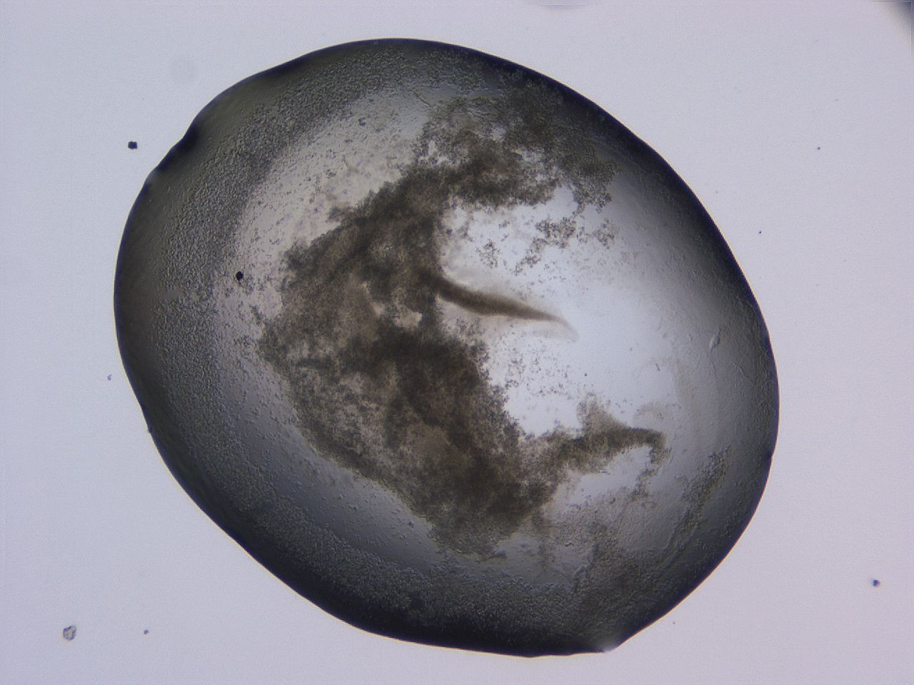 04nx_B12_ImagerDefaults_3.jpg