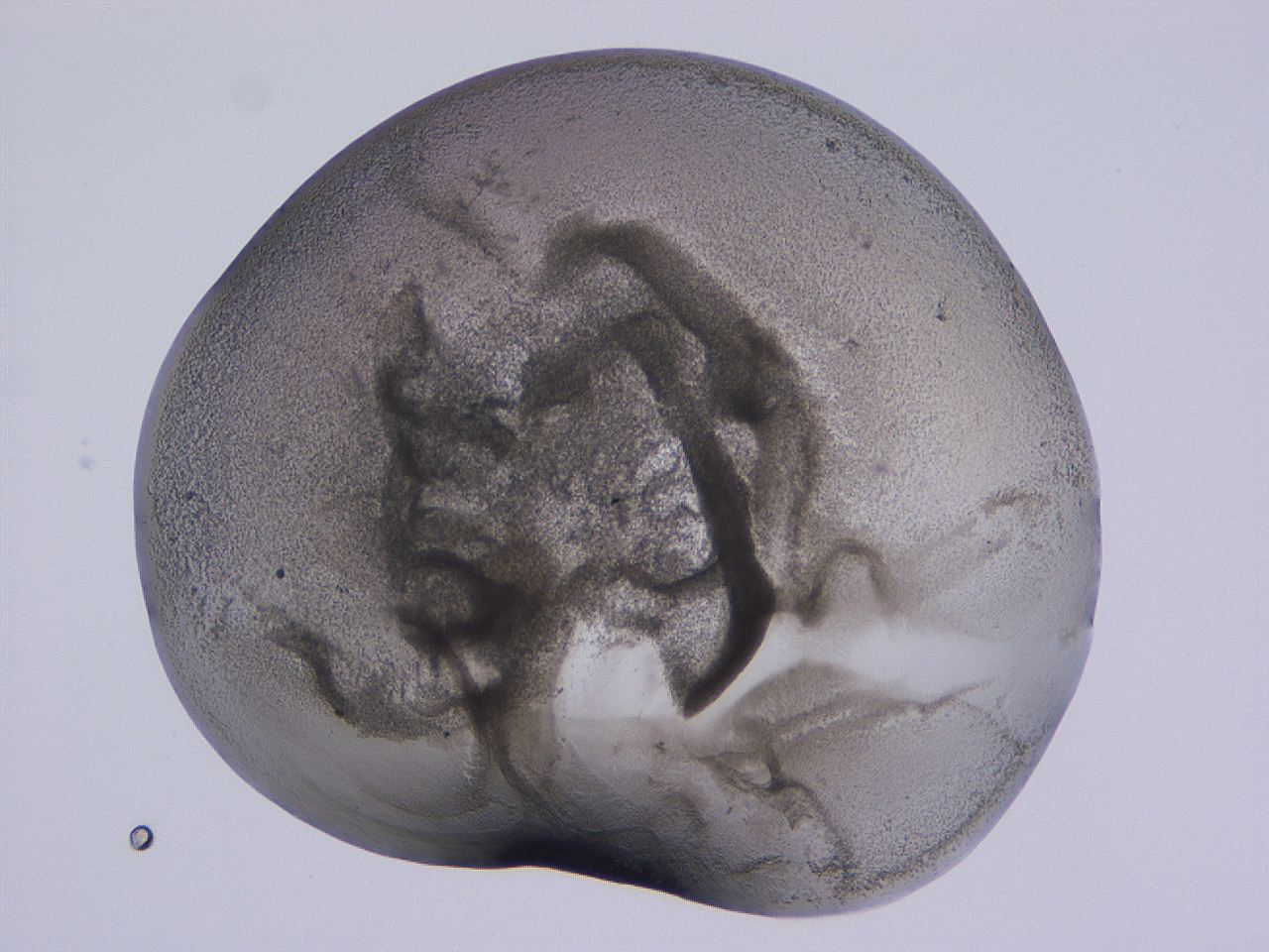 04nx_C5_ImagerDefaults_3.jpg