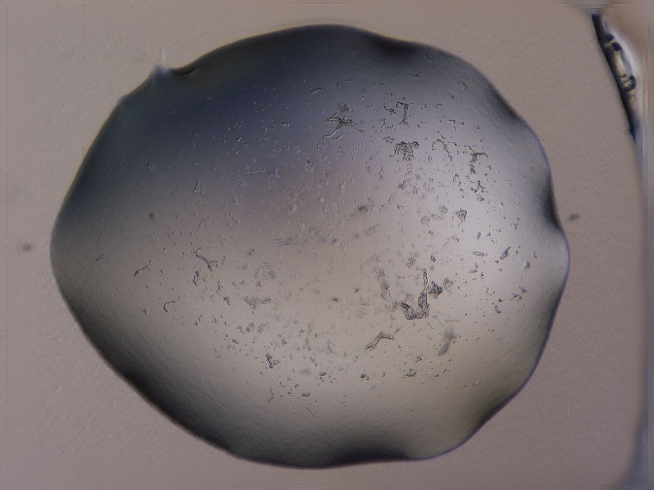 04nx_A2_ImagerDefaults_0.jpg