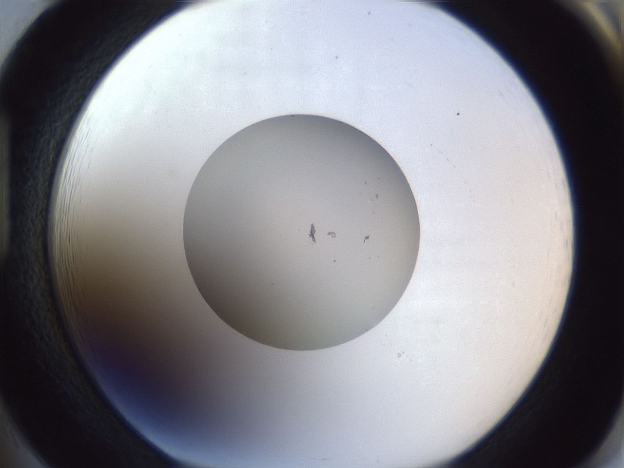 folderID91_plateID1091_batchID3124_wellNum85_profileID1_d1_r48349_ef.jpg