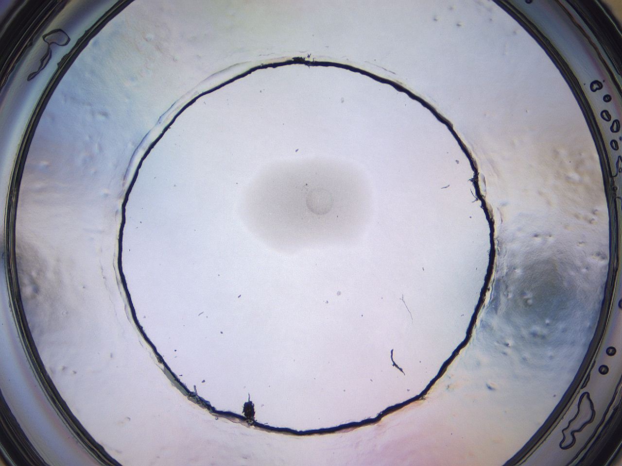 04nx_C11_ImagerDefaults_3.jpg