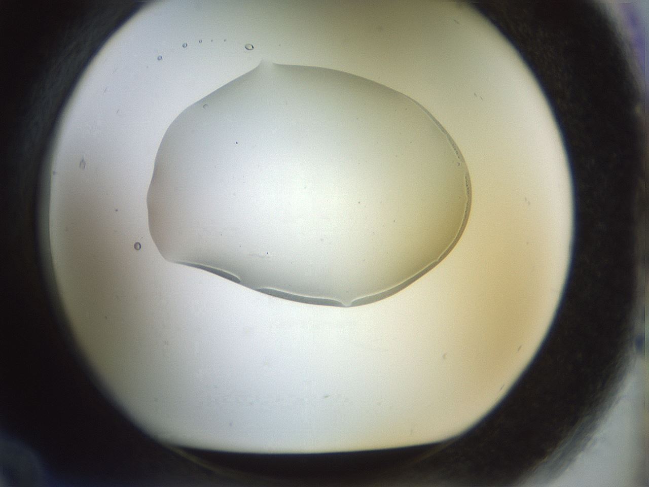 folderID920_plateID1920_batchID8270_wellNum84_profileID1_d1_r127897_ef.jpg