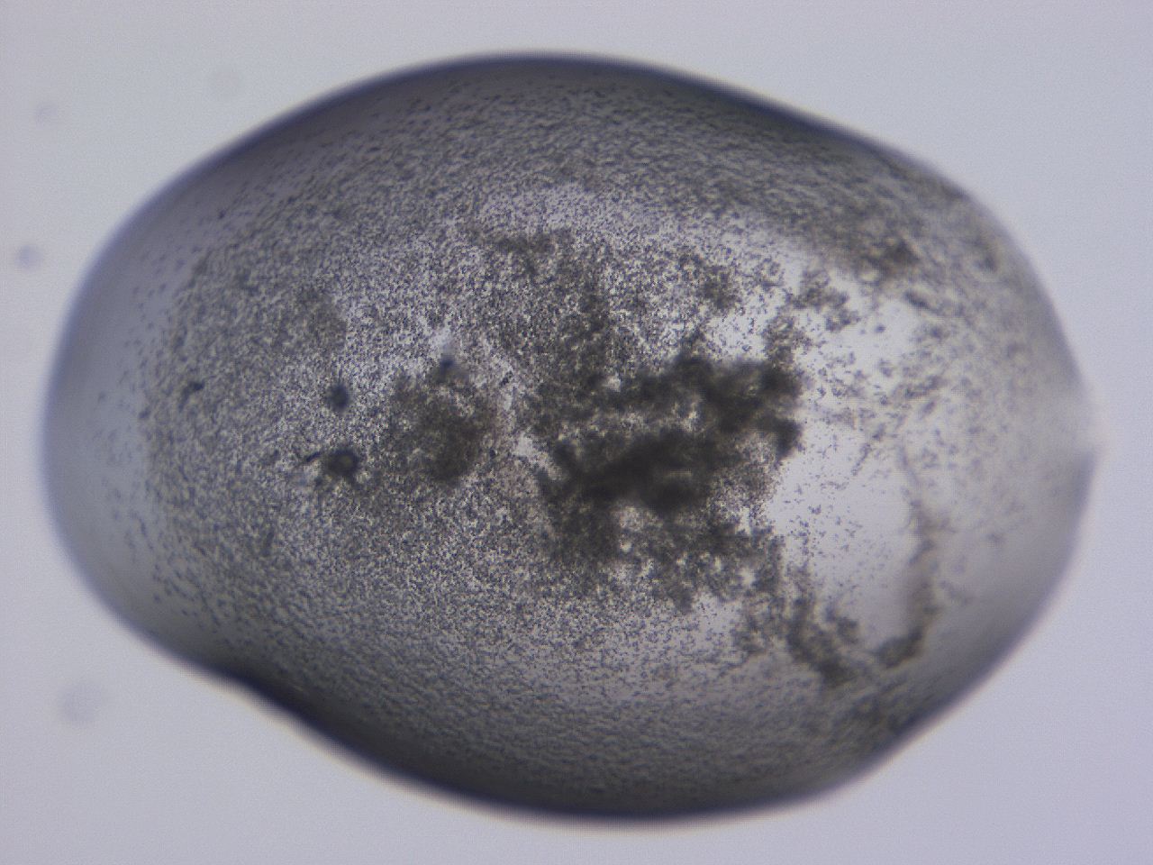 04nx_C12_ImagerDefaults_3.jpg