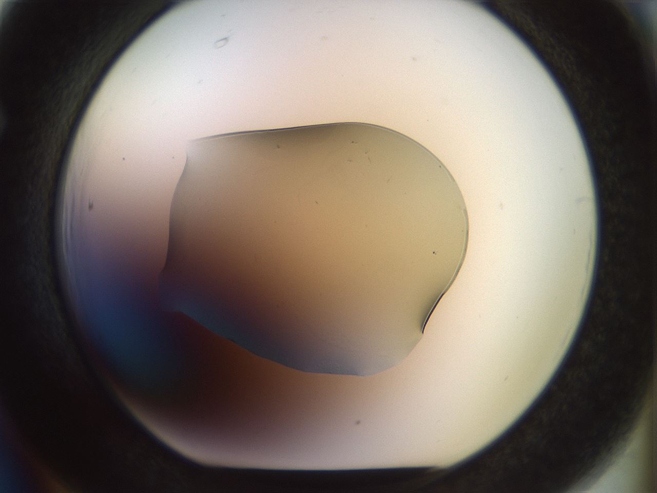 folderID920_plateID1920_batchID8270_wellNum66_profileID1_d1_r127879_ef.jpg
