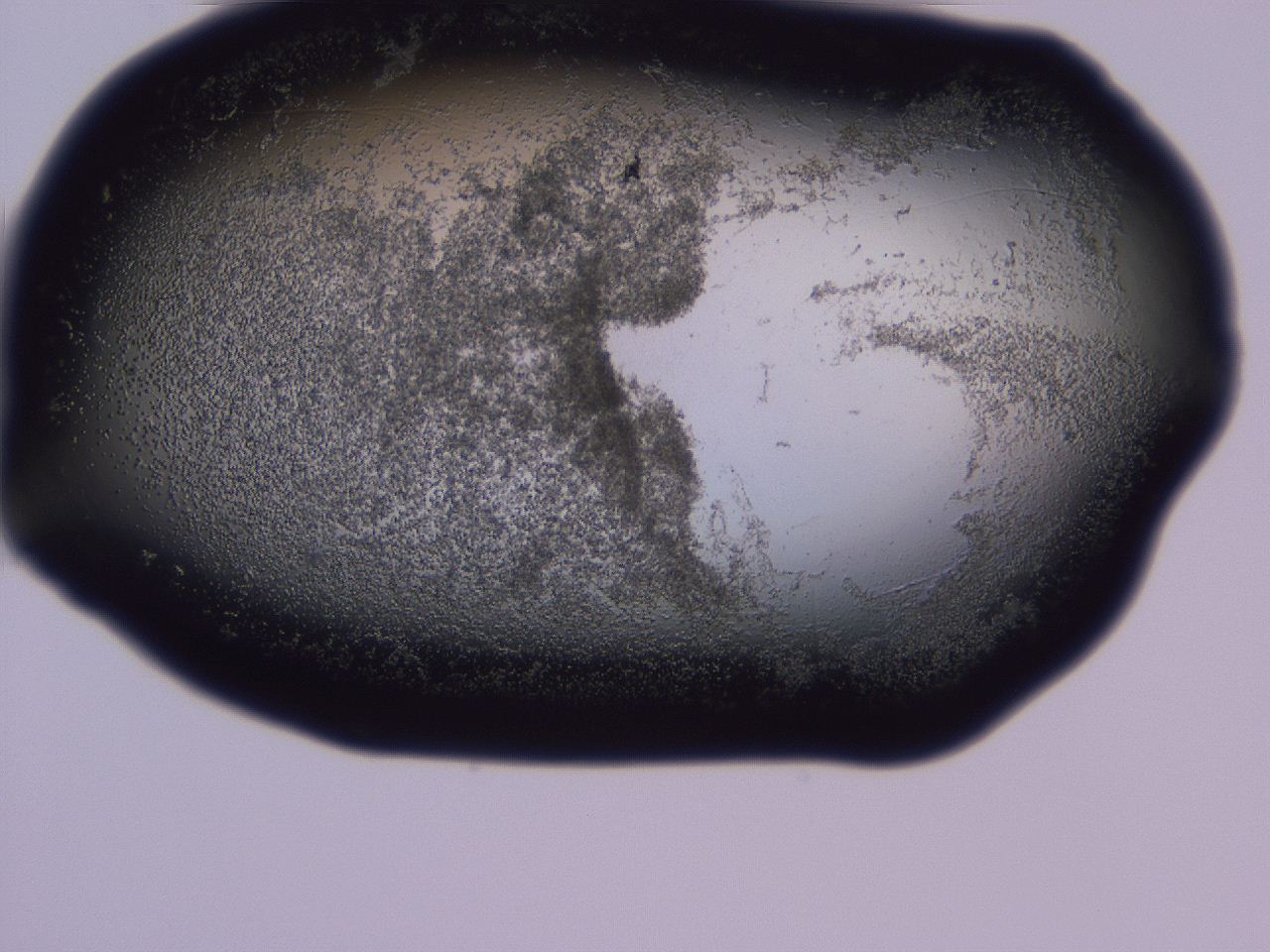 04nx_D6_ImagerDefaults_3.jpg