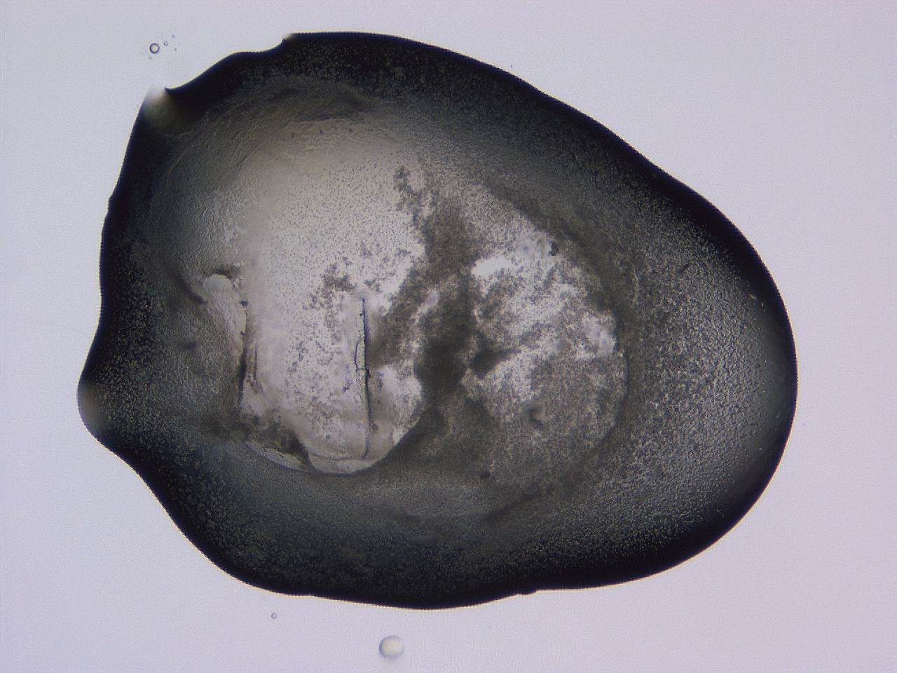 04nx_D7_ImagerDefaults_3.jpg