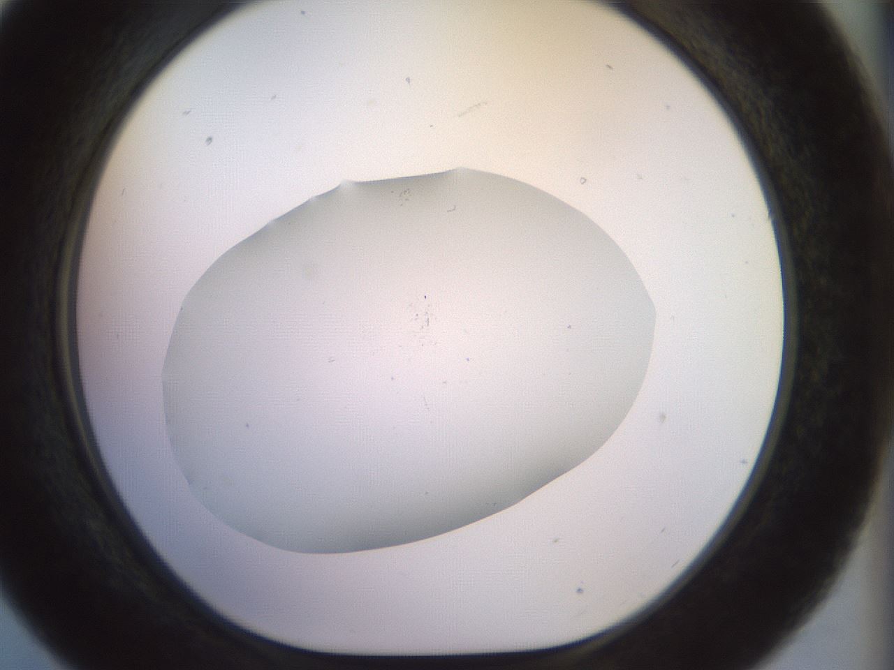 folderID921_plateID1921_batchID8271_wellNum21_profileID1_d1_r127930_ef.jpg