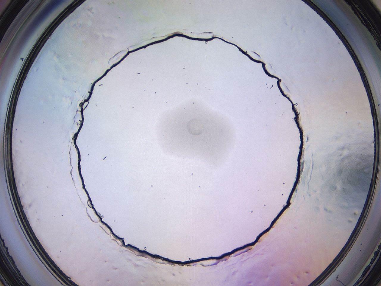 04nx_D11_ImagerDefaults_3.jpg